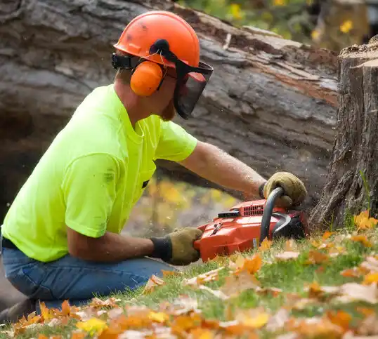 tree services Wellsville